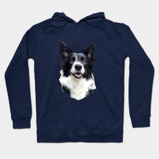 Border Collie Cute Puppy Dog Hoodie